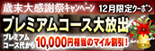 【12月限定】プレミアム★マイルクーポン